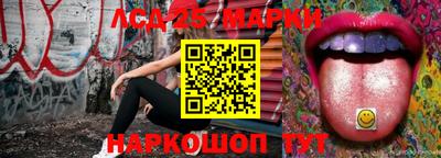 гидропоника Краснодар