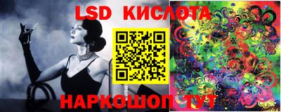 spice Кулебаки