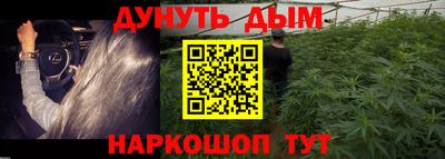 индика Краснознаменск