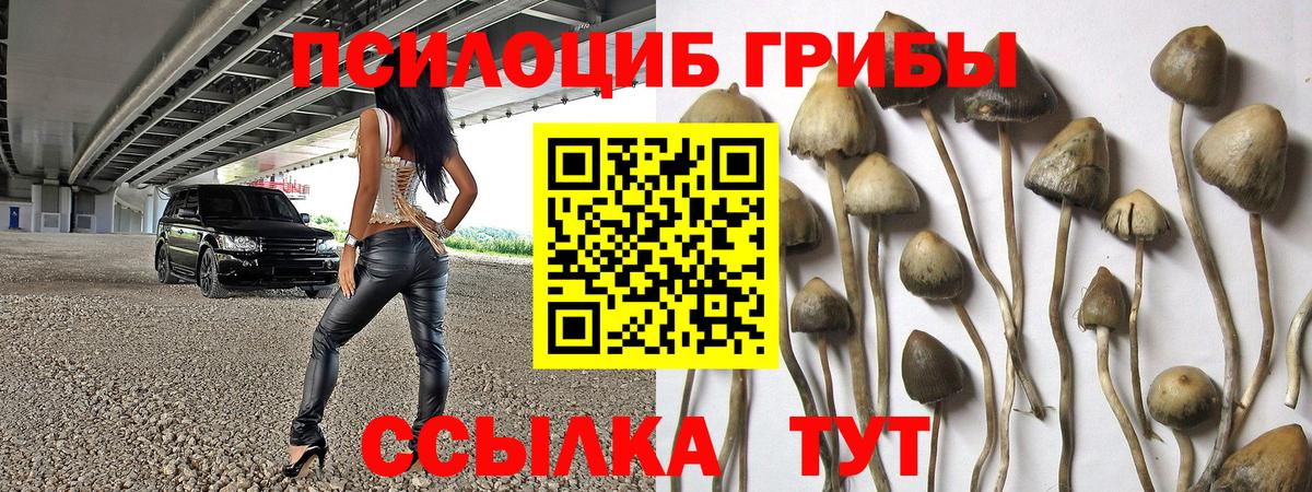 Галлюциногенные грибы Magic Shrooms  Вход с VPN  Троицк 