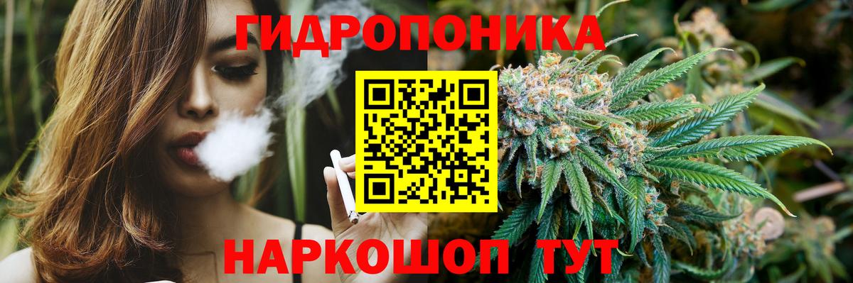 Каннабис планчик Троицк